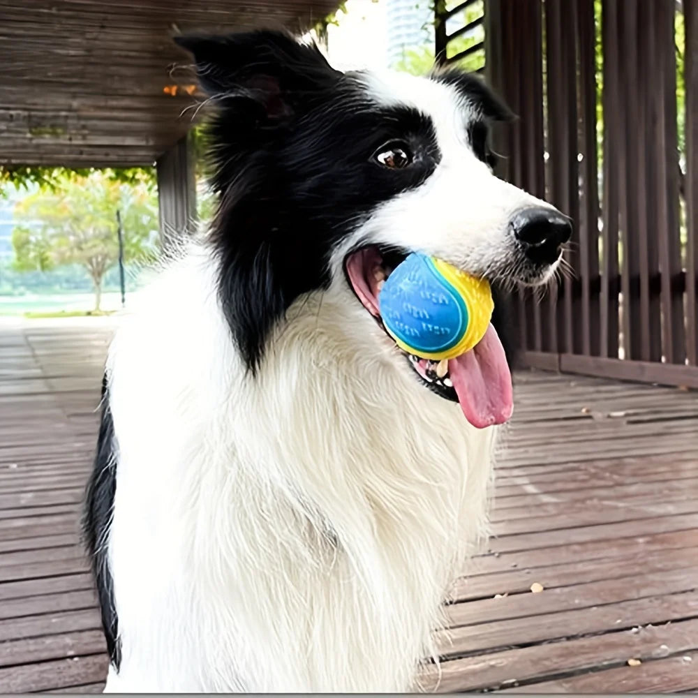 Durable Dog Chew Ball – Interactive Teeth Cleaning Toy